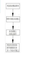 一种高分子膜及高分子膜制造方法